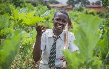 a young boy planting crops