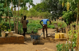 Volunteers tending to the school's community garden. 