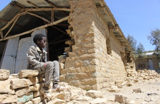 Image of Lewte sitting on a wall that has collapsed.