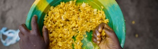 pov shot of a bowl of rice