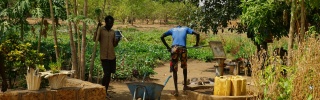 Volunteers tending to the school's community garden. 