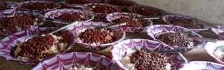 2024 - Meals - Liberia