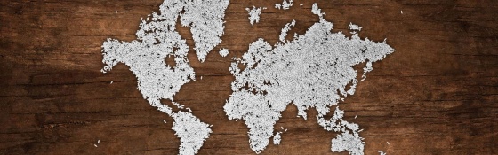 World map design made from grains of rice