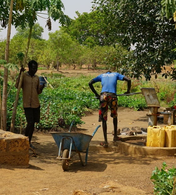 Volunteers tending to the school's community garden. 