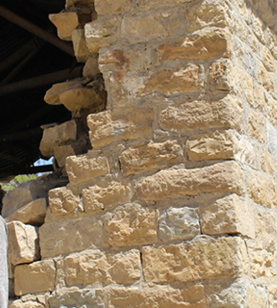 Image of Lewte sitting on a wall that has collapsed.