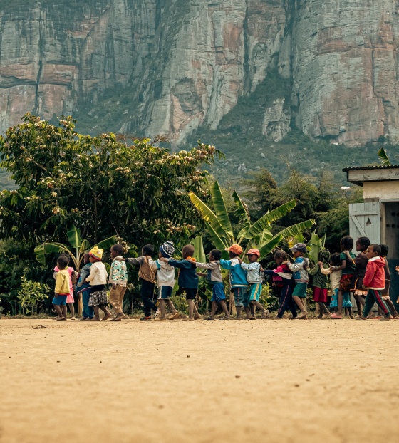 2025 - Madagascar Landscape 
