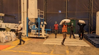 Volunteers and staff at a food packing and storage facility. 