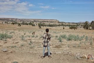 2024 - Tigray - Asefu