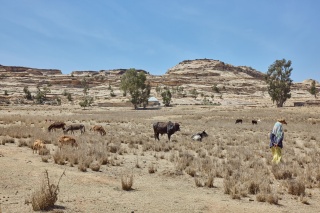 Farmers working their land in Tigray, Ethiopia.